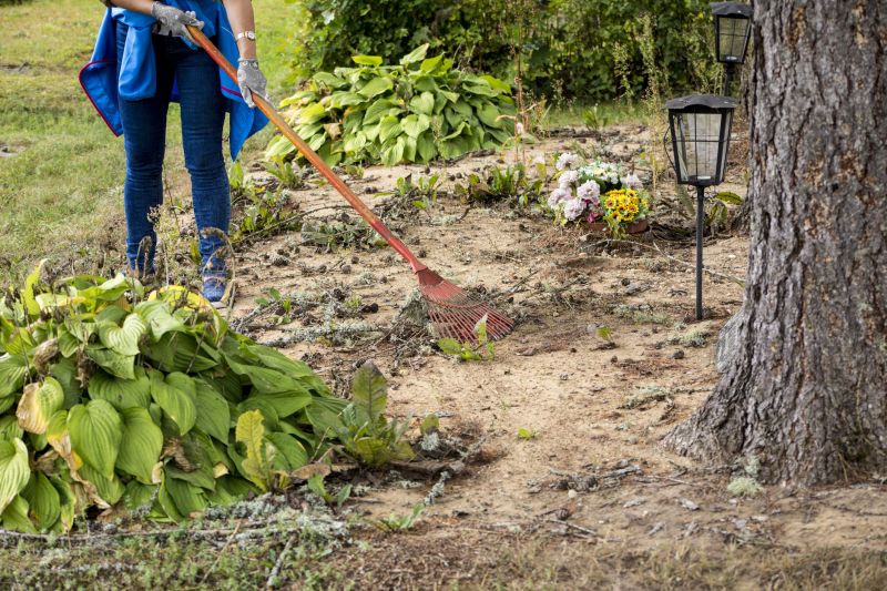 Easement Land Clearing in Gwinnett County, GA