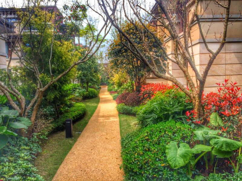 Pathway Clearing in Progress