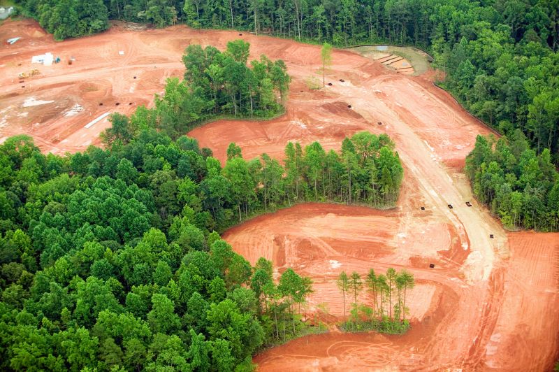 Property Line Clearing in Cumming, GA