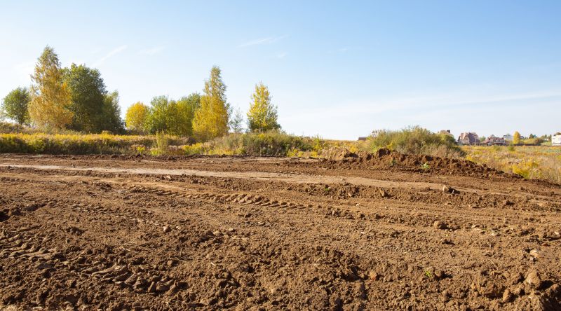What’s Involved In Professional Land Clearing?