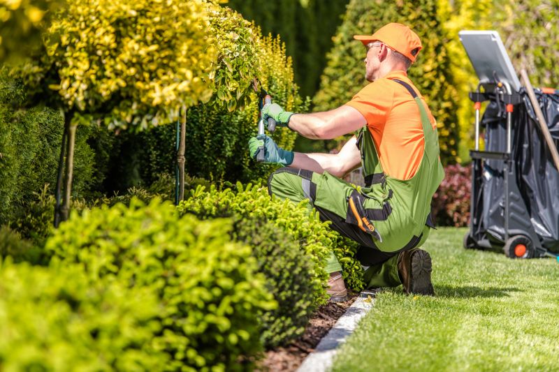 Garden Maintenance Experts